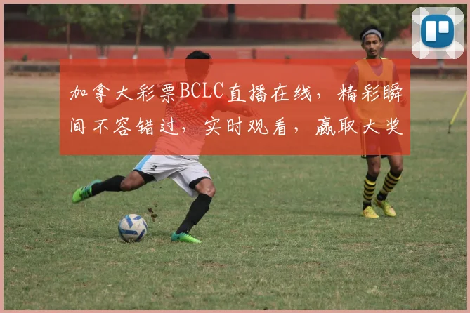 加拿大彩票BCLC直播在线，精彩瞬间不容错过，实时观看，赢取大奖