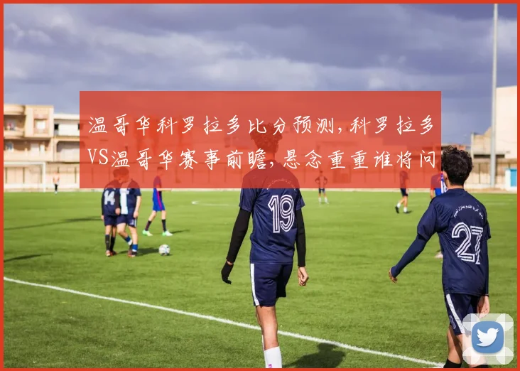 温哥华科罗拉多比分预测,科罗拉多VS温哥华赛事前瞻,悬念重重谁将问鼎