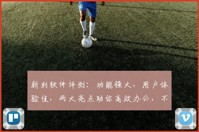 新利软件评测：功能强大，用户体验佳，两大亮点助你高效办公，不容错过
